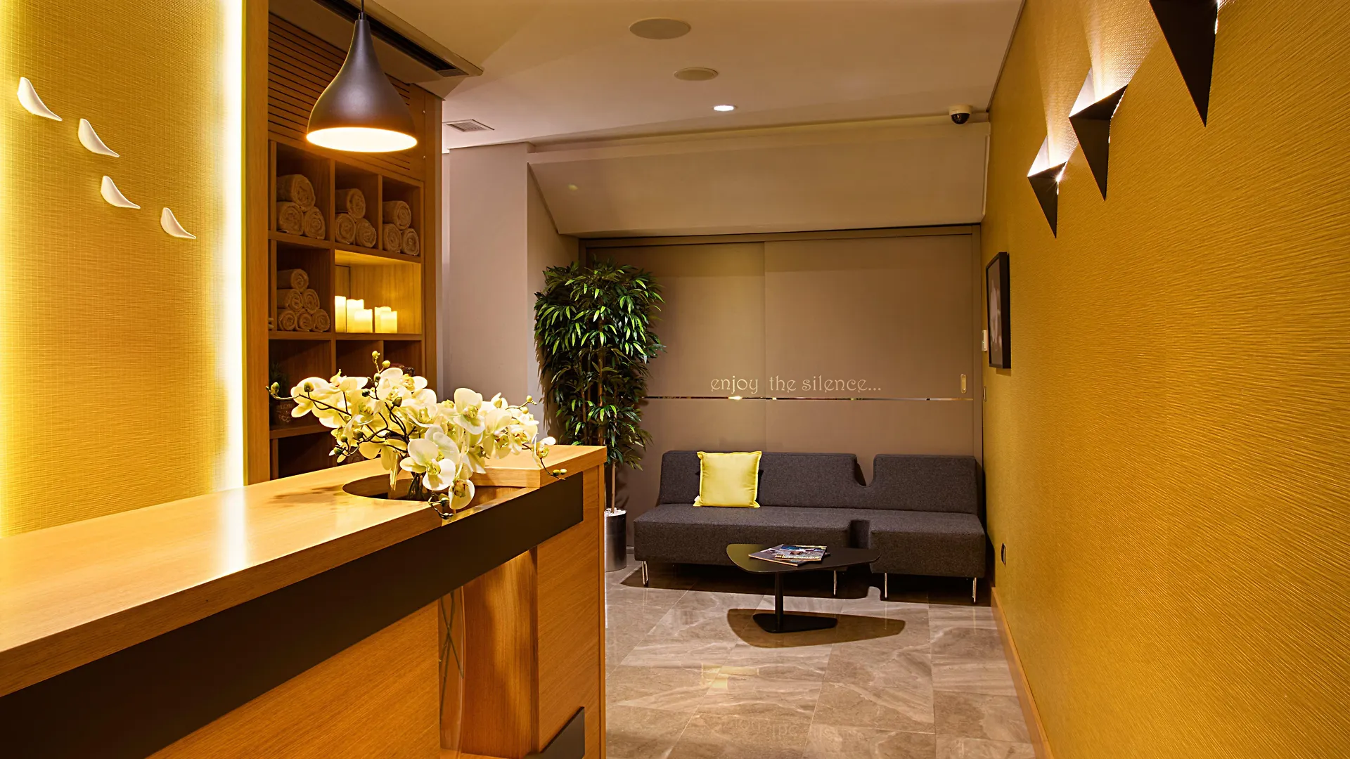 Holiday Inn Istanbul - Kadikoy By Ihg Tyrkiet
